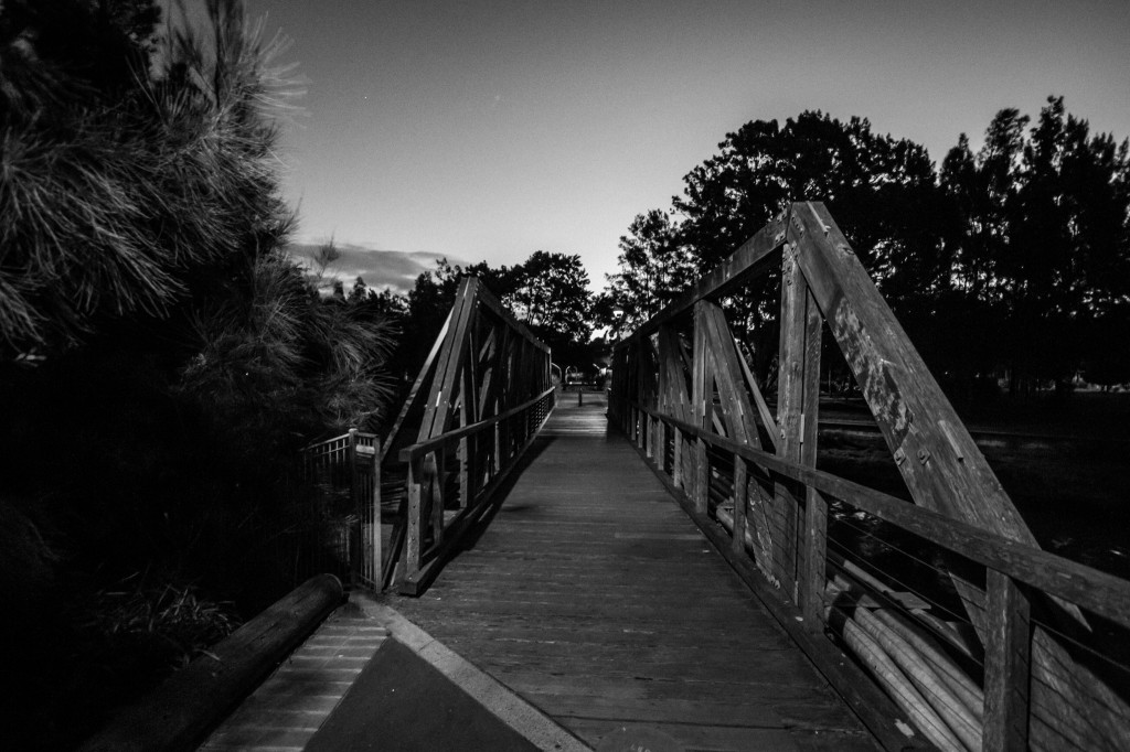 Just had to get out of the house so I headed down to Bicenntenial Park in Glebe